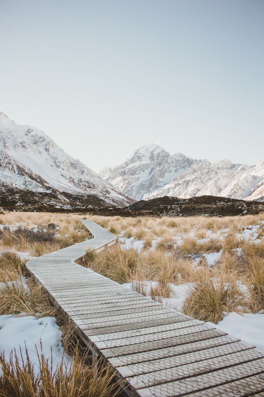 brown wooden bridge and brown grass in Mount Cook New Zealand