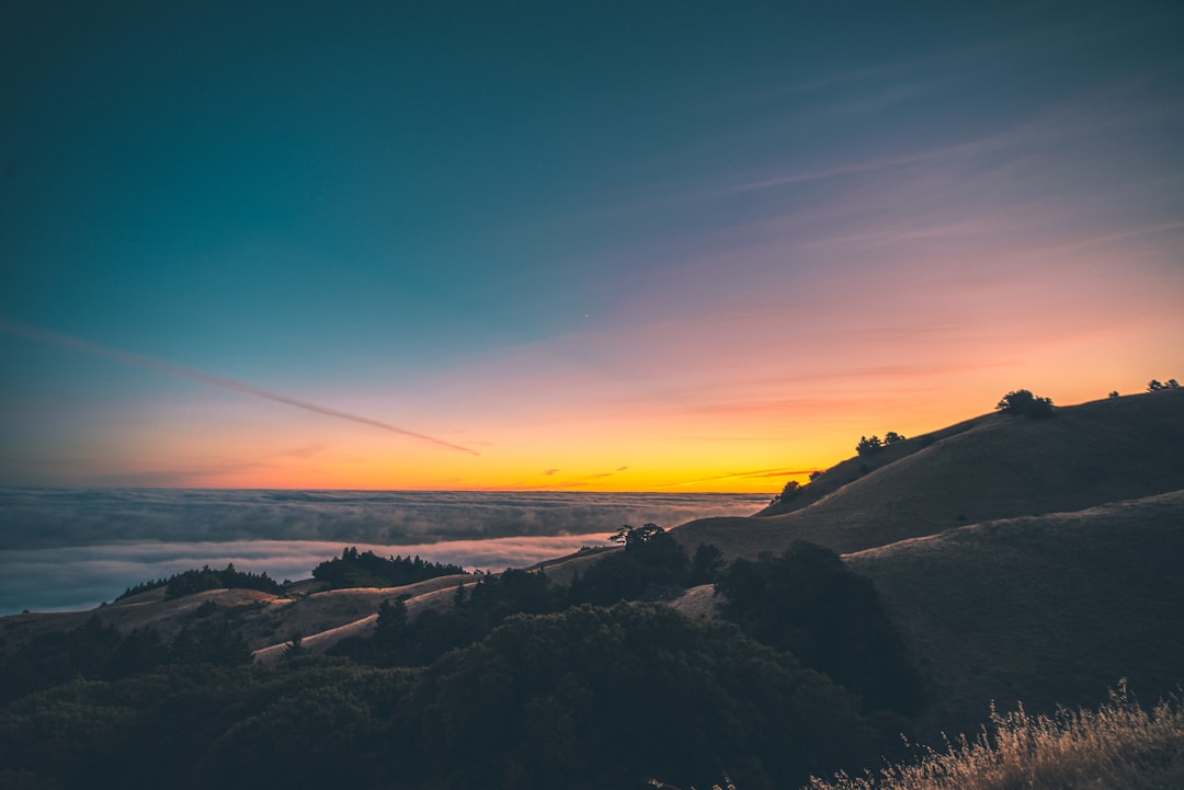 Coast photo spot Mount Tamalpais Redwood City