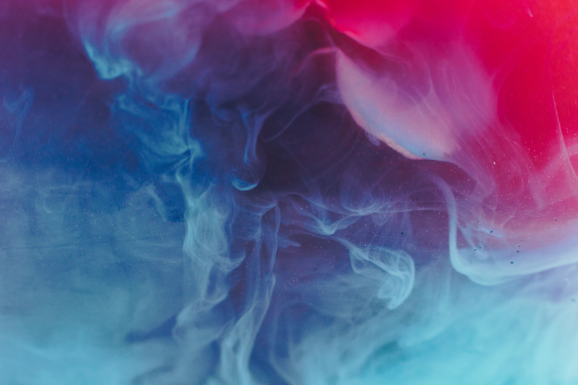 Blue and violet ink blooming in water