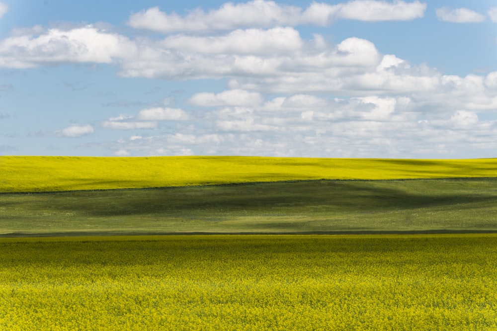 grass field under blue sky