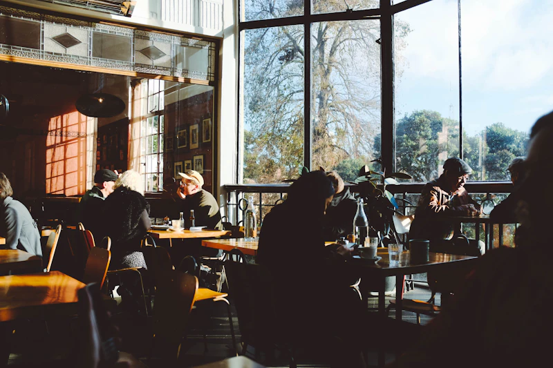 Best Solo Traveler Spots in Auckland: Where to Eat, Drink, and Connect