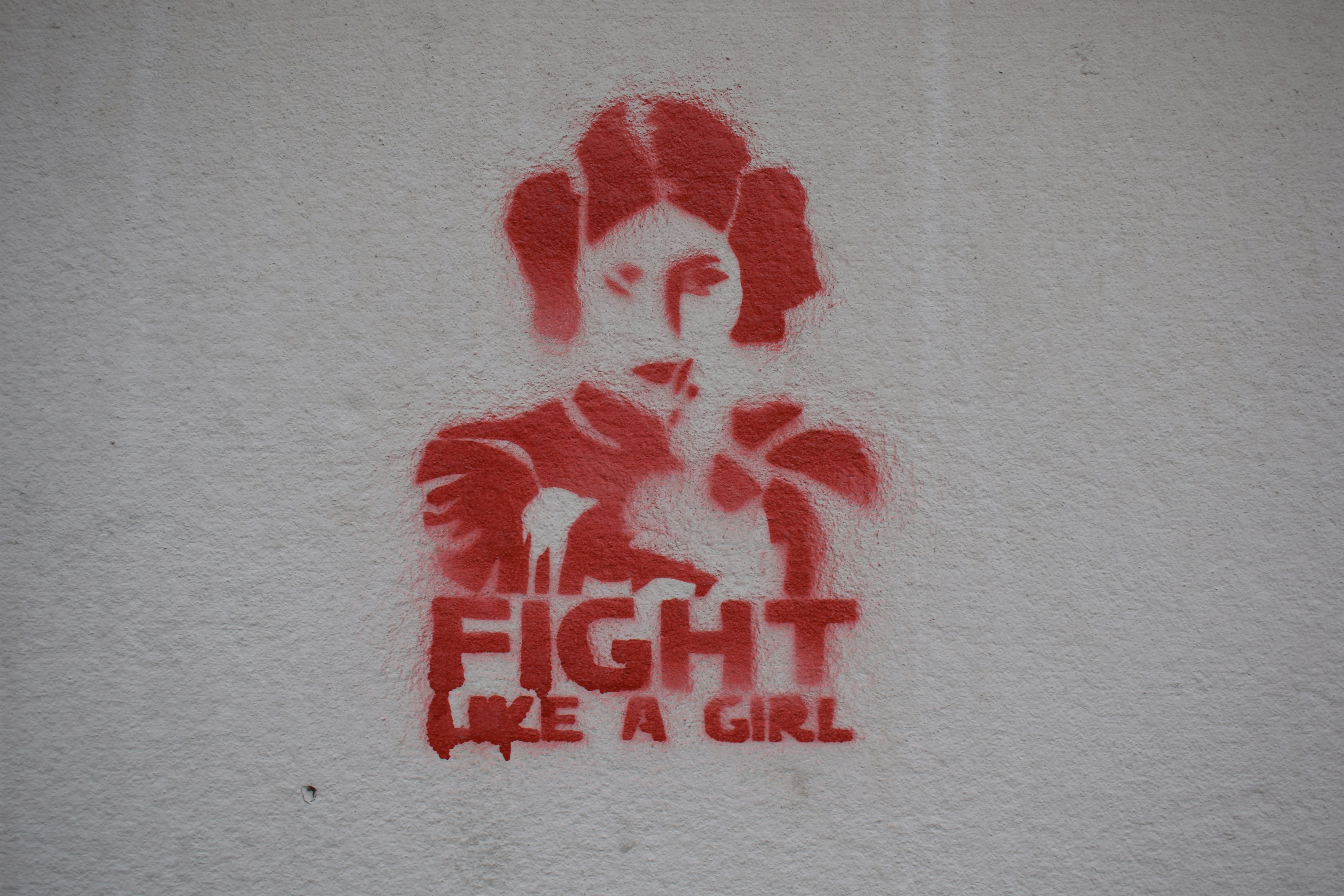 Star Wars Princess Lea paint