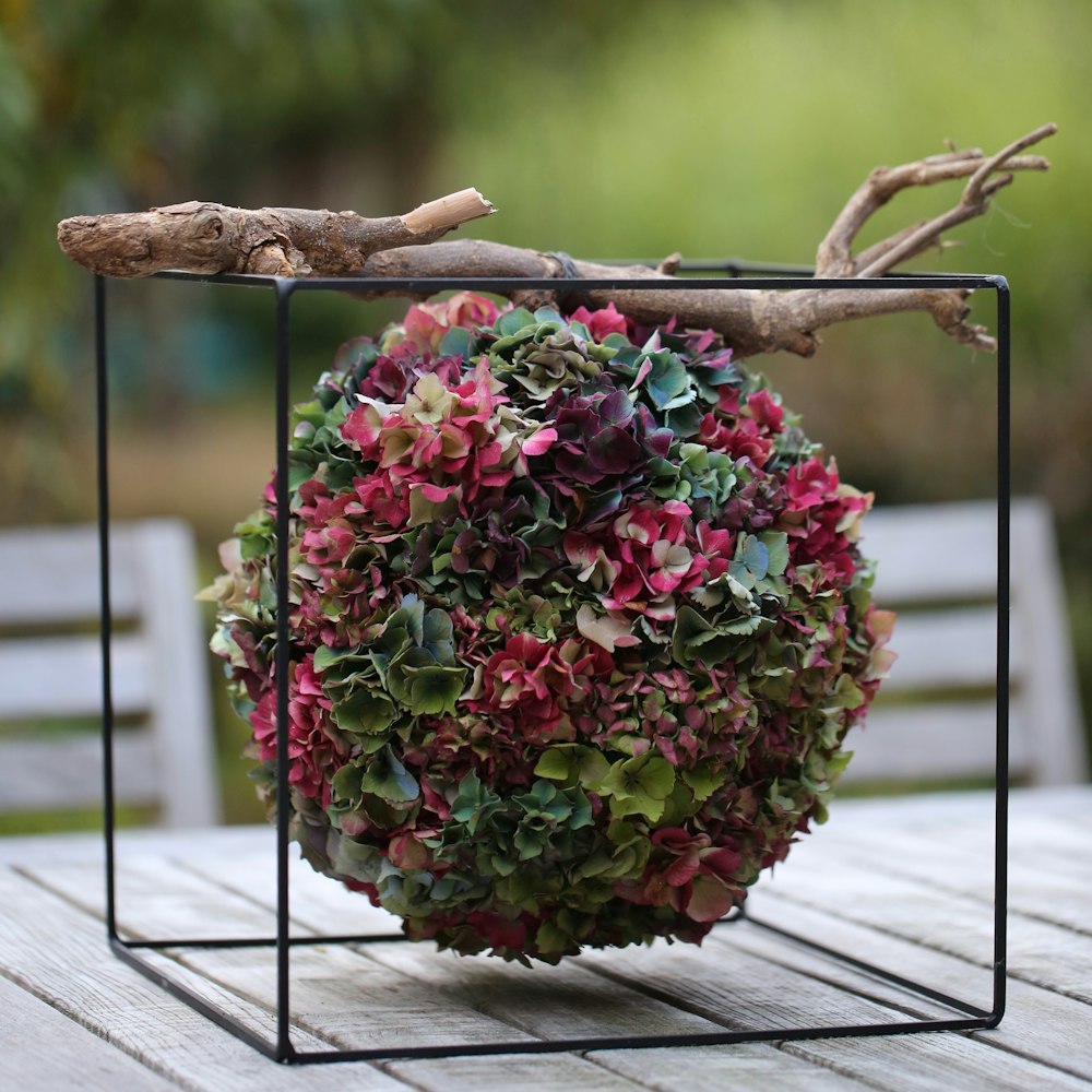 depth of field photography of multicolored petaled flower arrangement on under wood branch in black wired cube holder