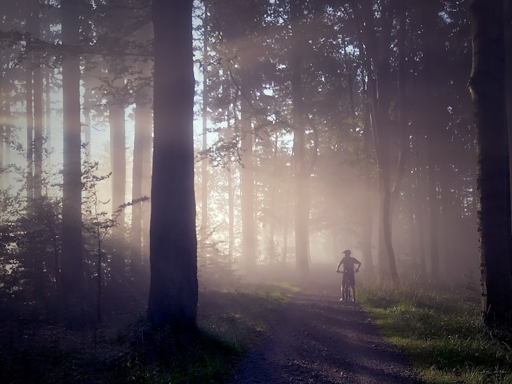 man riding bicycle on forest silhouette