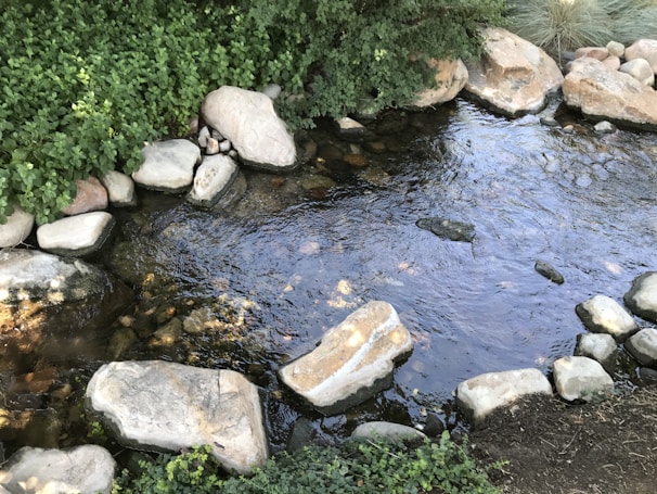 A calming image of a tranquil water stream surrounded by stones.