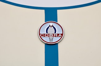 A circular emblem featuring a stylized cobra design in blue and red is positioned on a cream-colored surface with a vertical blue stripe running through it.