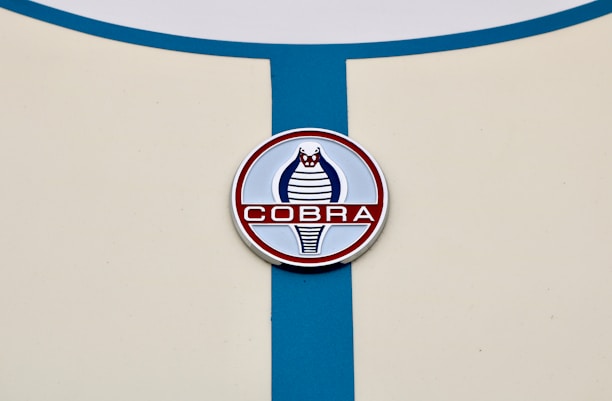 A circular emblem featuring a stylized cobra design in blue and red is positioned on a cream-colored surface with a vertical blue stripe running through it.