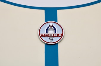 A circular emblem featuring a stylized cobra design in blue and red is positioned on a cream-colored surface with a vertical blue stripe running through it.
