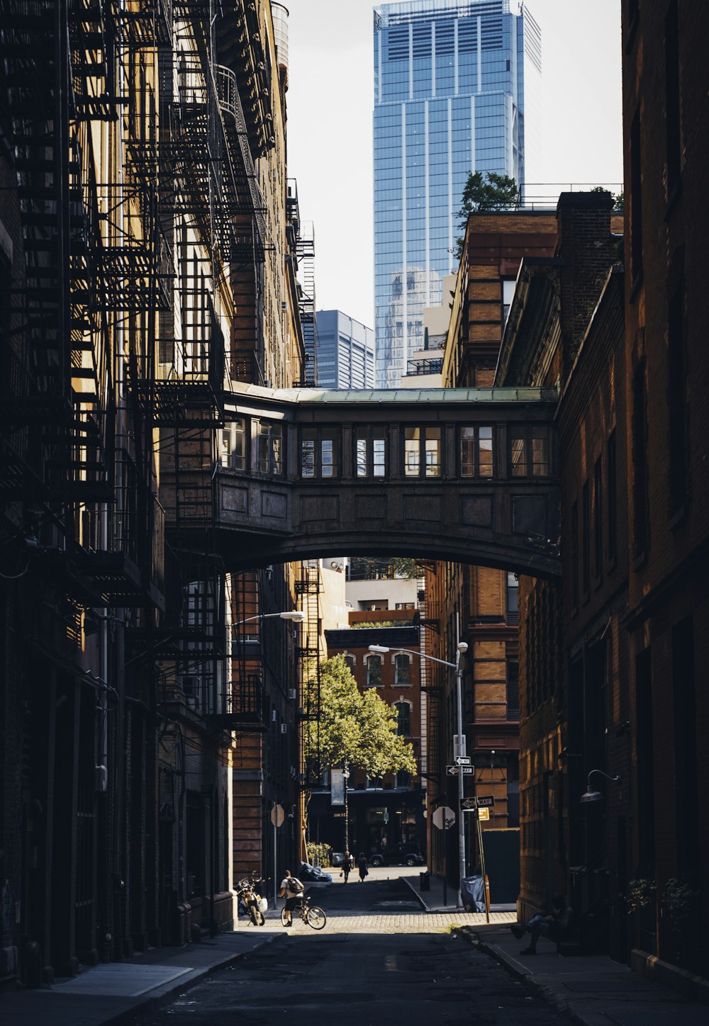 calle durante el día