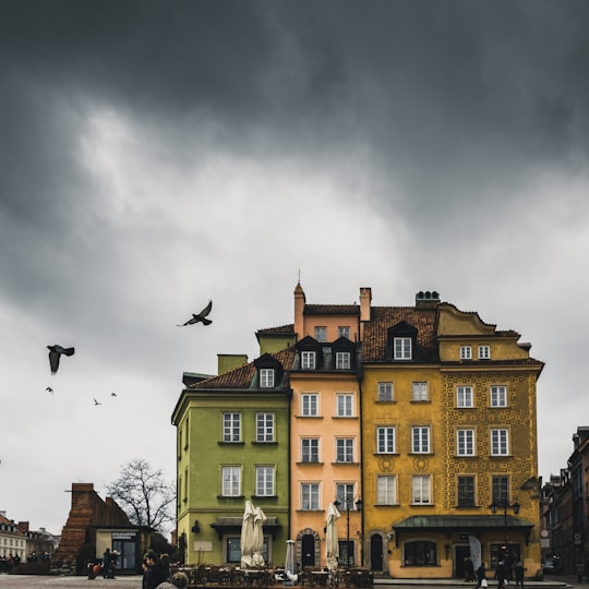 birds flying beside concrete building in Sigismund's Column Poland