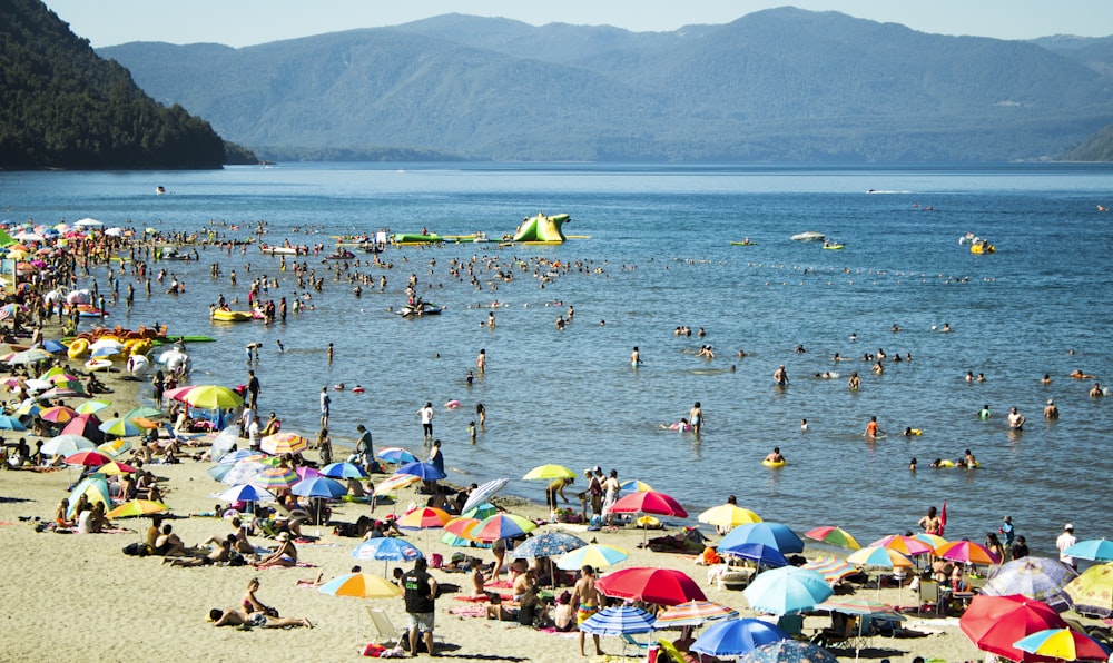 people on beach