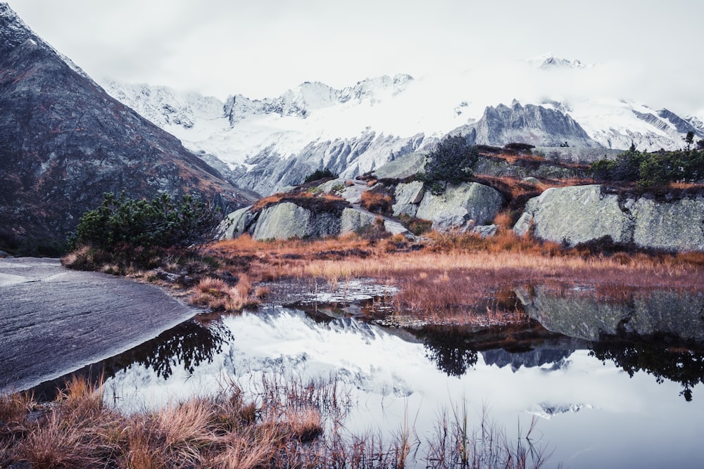 snow-capped mountain near body of water at daytime