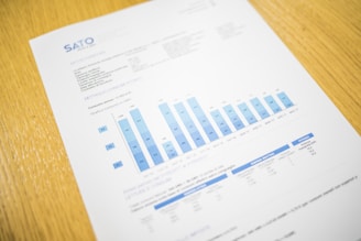 white and blue Sato chart
