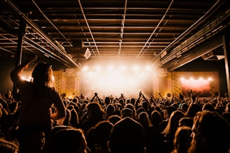 Fans dancing energetically in front of a packed indoor venue.