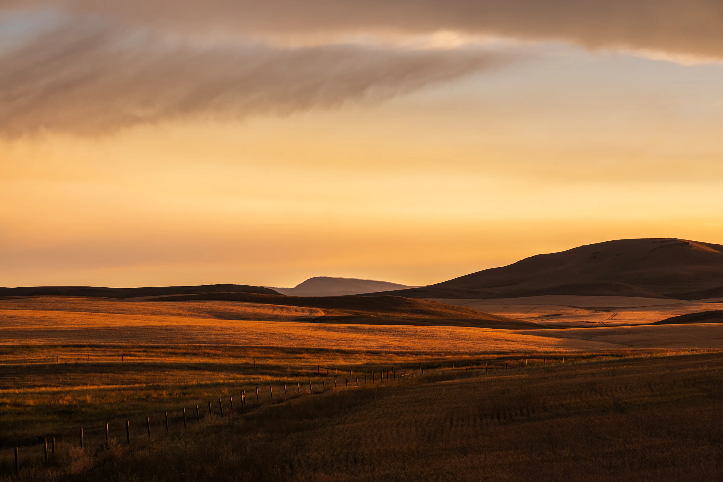Montana shortgrass plains at last light, a fence line running to the horizon