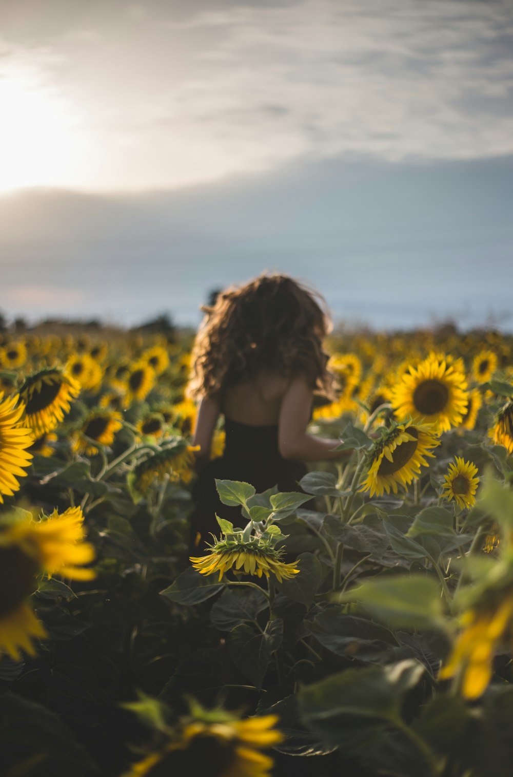 Femme debout sur le champ de tournesol pendant la journée