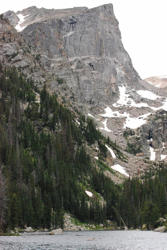 gray mountain with green trees in Dream Lake United States