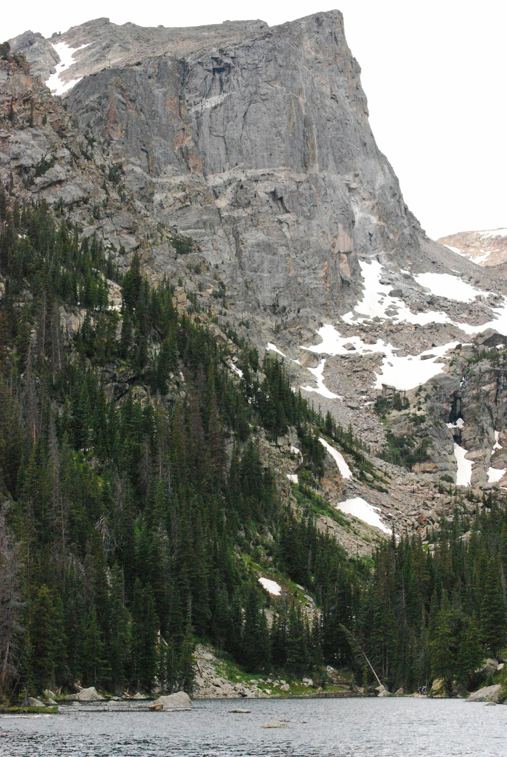 gray mountain with green trees