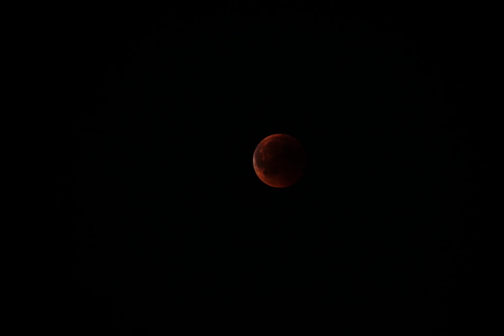 photography of super blood moon