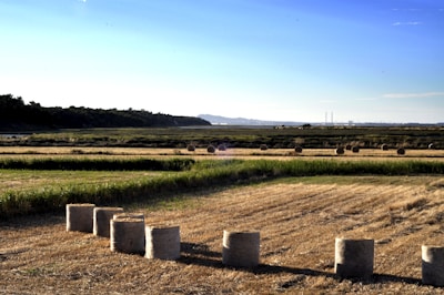 A scenic view of freshly baled round hay bales on a green field under a blue sky.