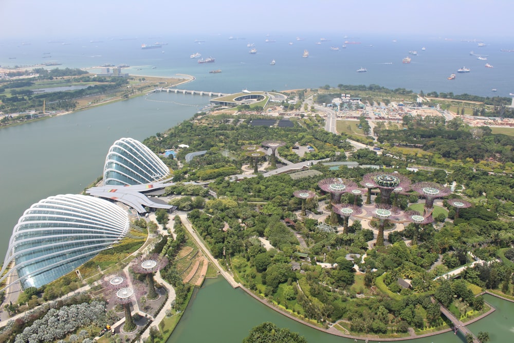 aerial photo of city