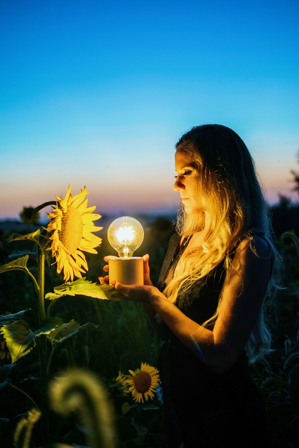 Frau mit Glühbirne in der Nähe von Sonnenblume, aufgenommen bei Sonnenuntergang