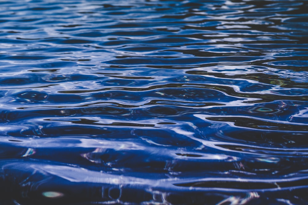 closeup photo of blue body of water