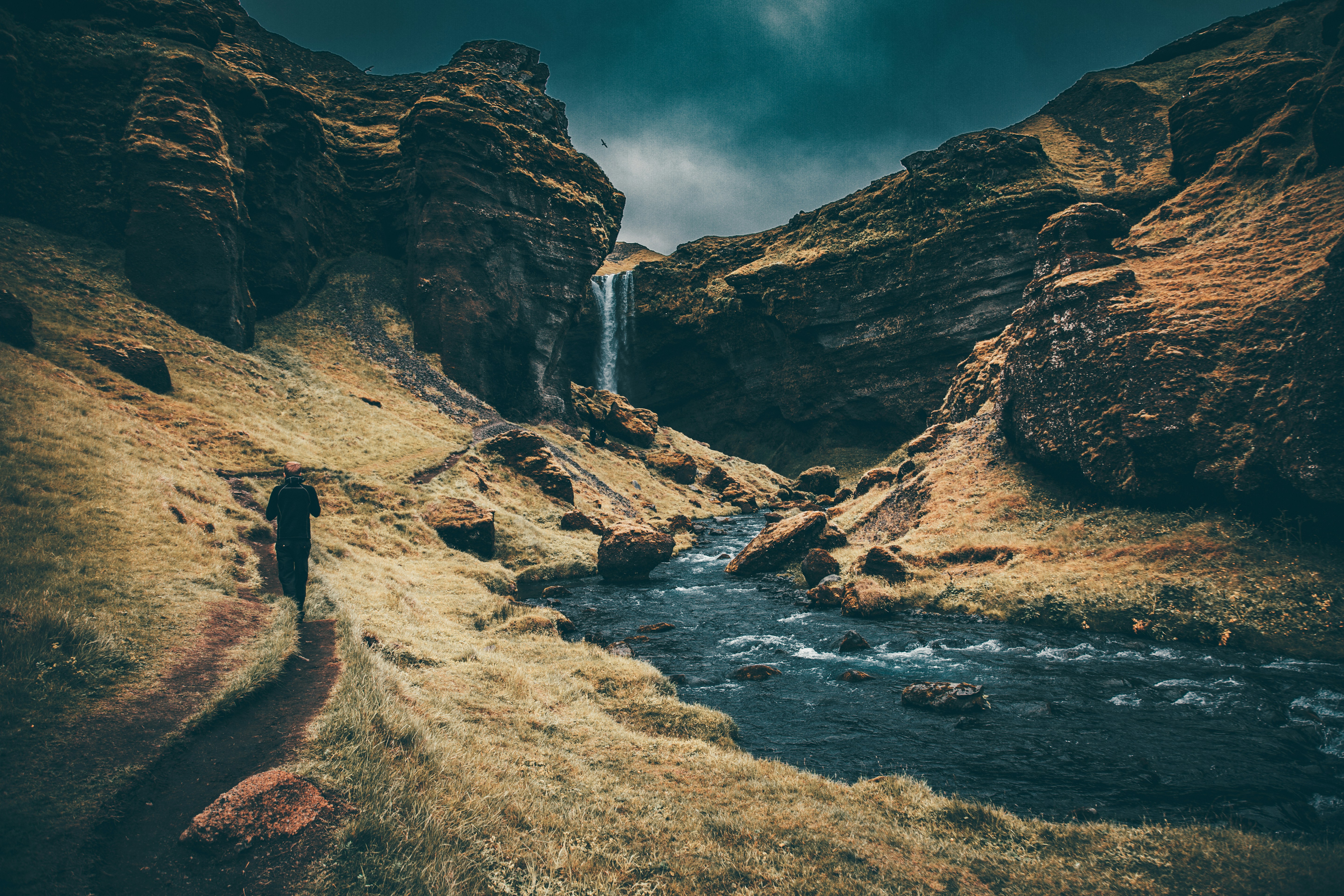 Photo by ardisshutaff