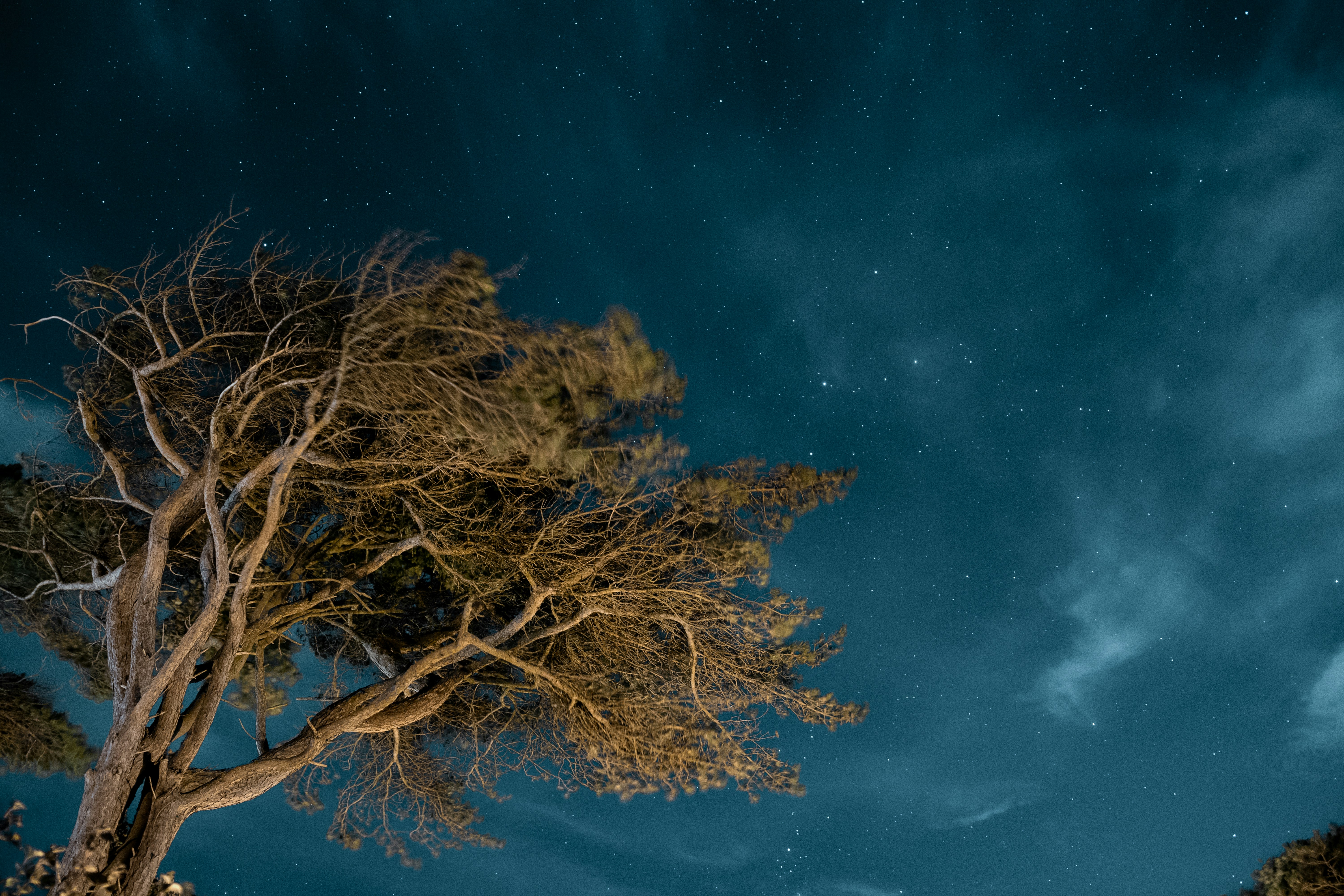 Why Smart Students Get Worse Grades: The Expertise Reversal Effect