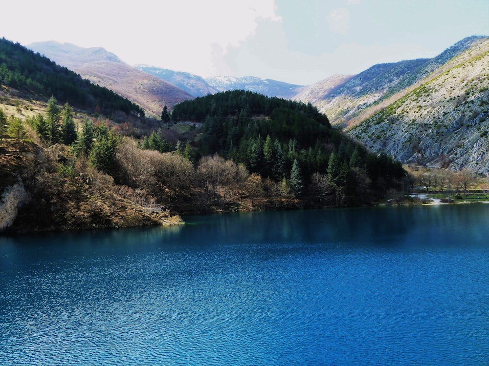 Árvores verdes cobriram montanhas