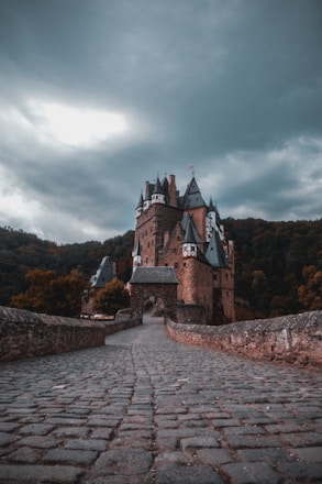 Medieval German castle on a forested hilltop