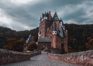architectural photography of brown and gray castle