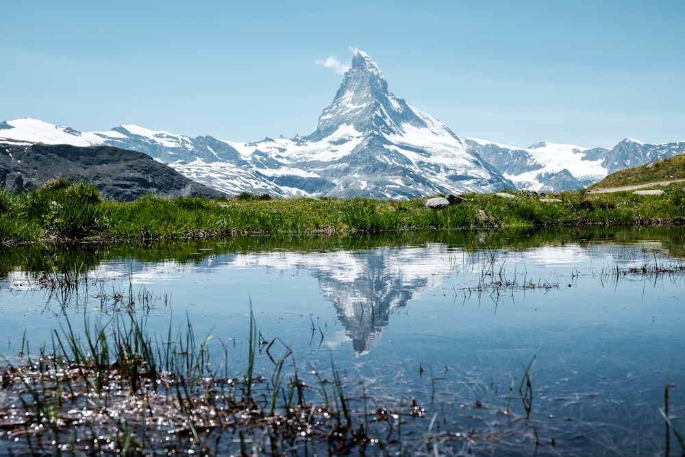 Paysage d’arbres et de montagne