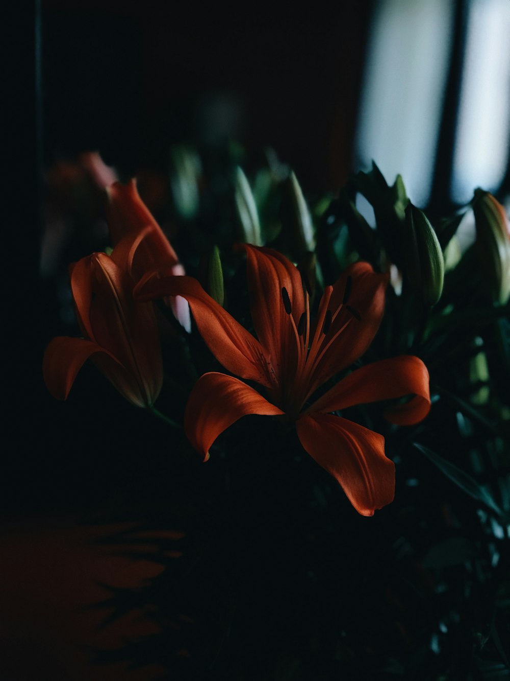 tilt shift lens photography of red flower with green leaf