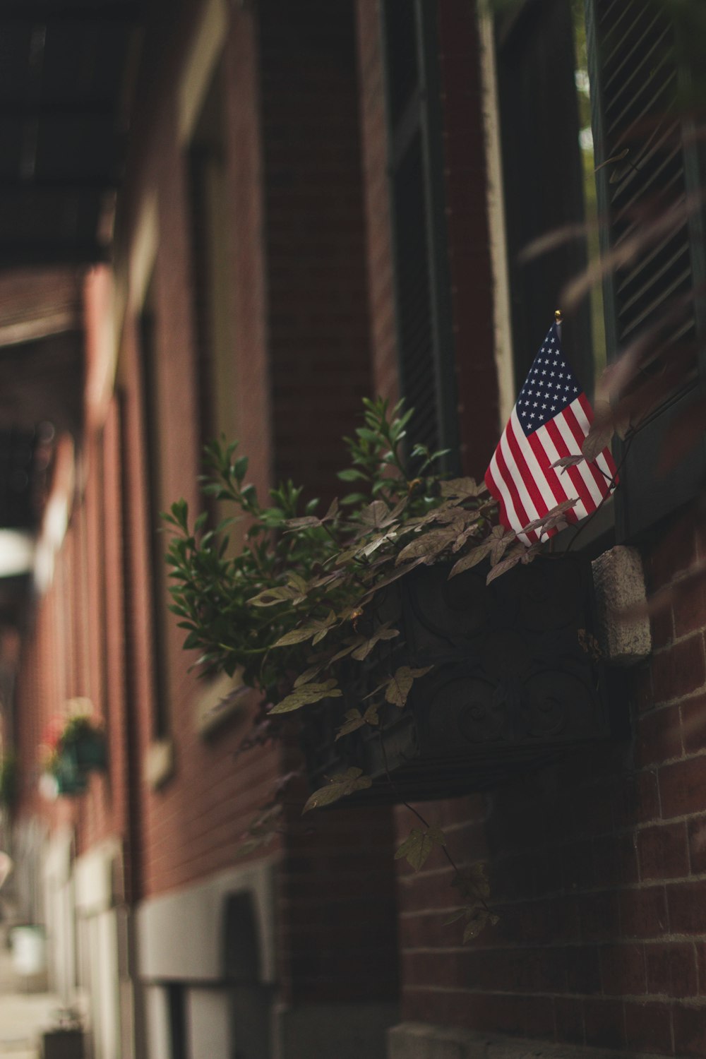 selective focus photo of American flag and leaf