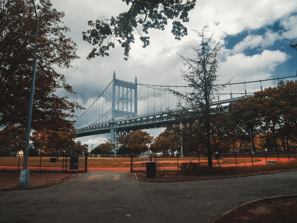 Puente azul al lado de un árbol