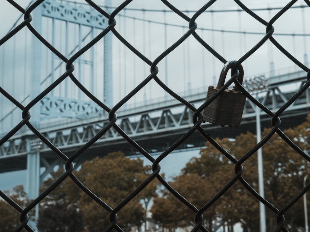 padlock on gray chain link fence