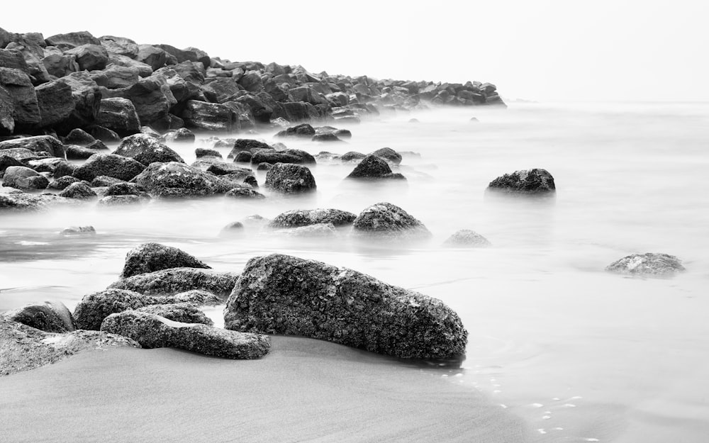 seashore in grayscale photo