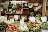 Grocers and Chefs: Software Service Models