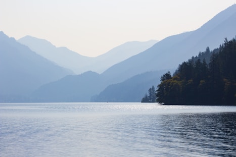 trees beside body of water distant from mountain