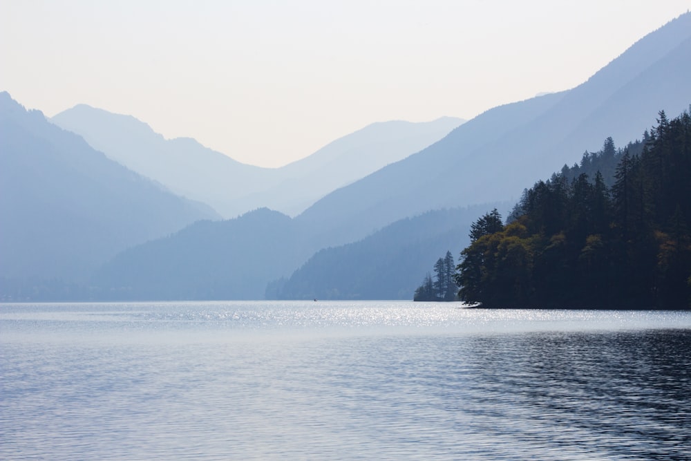 alberi accanto allo specchio d'acqua distante dalla montagna