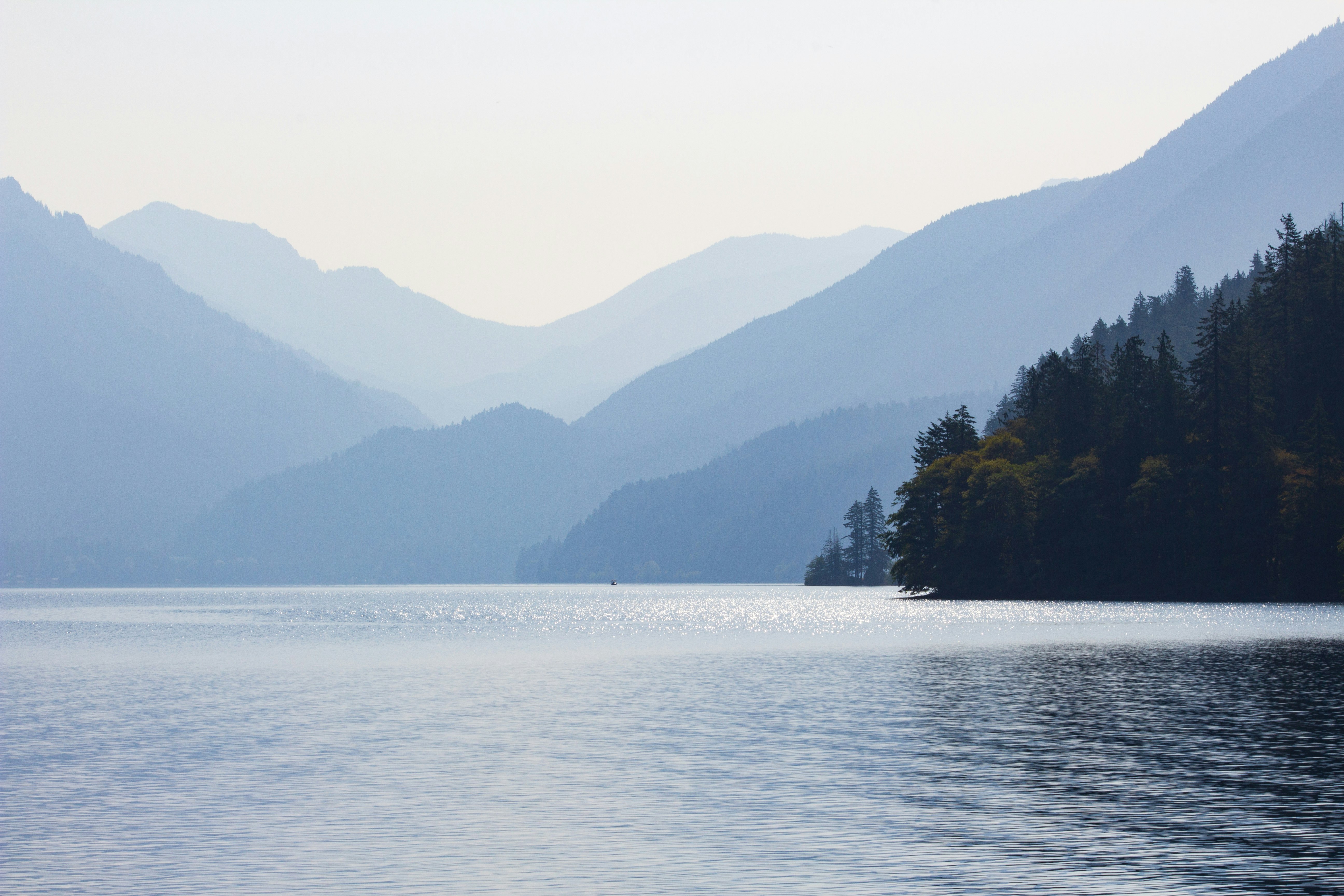 trees beside body of water distant from mountain