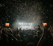 people gathering on concert field