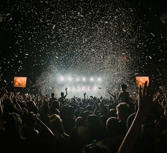 people gathering on concert field