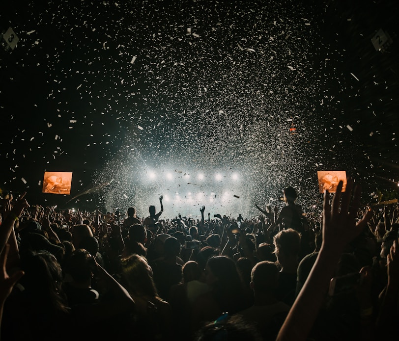 people gathering on concert field