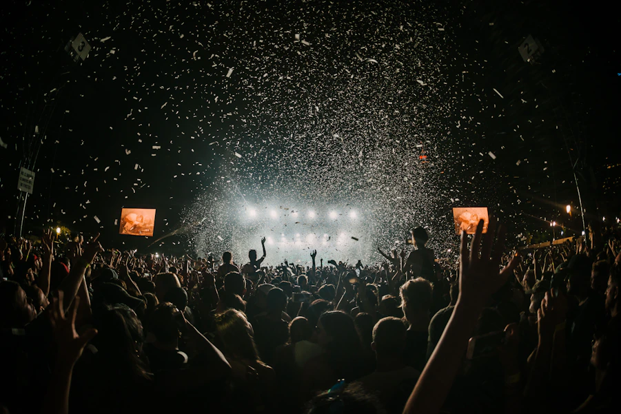 people gathering on concert field
