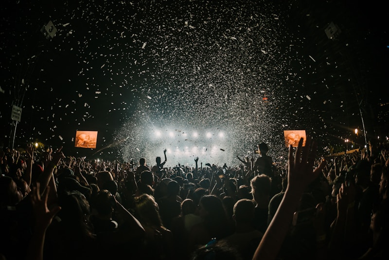 people gathering on concert field