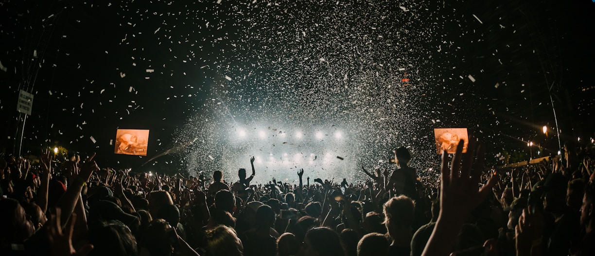 people gathering on concert field