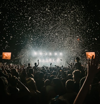 people gathering on concert field