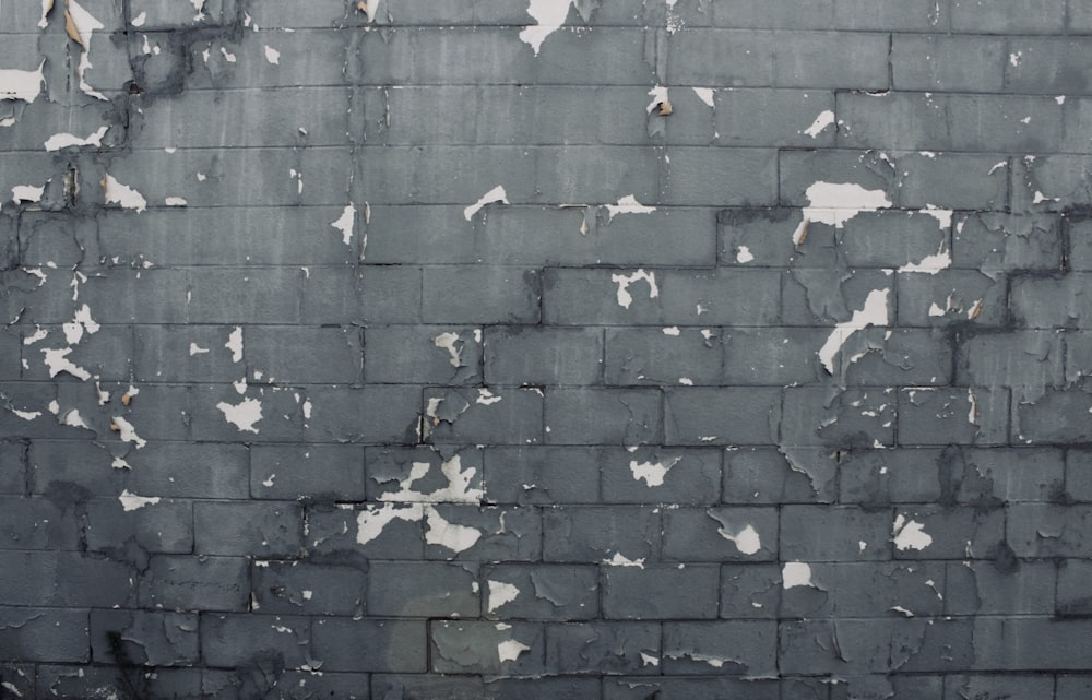 gray concrete brick wall